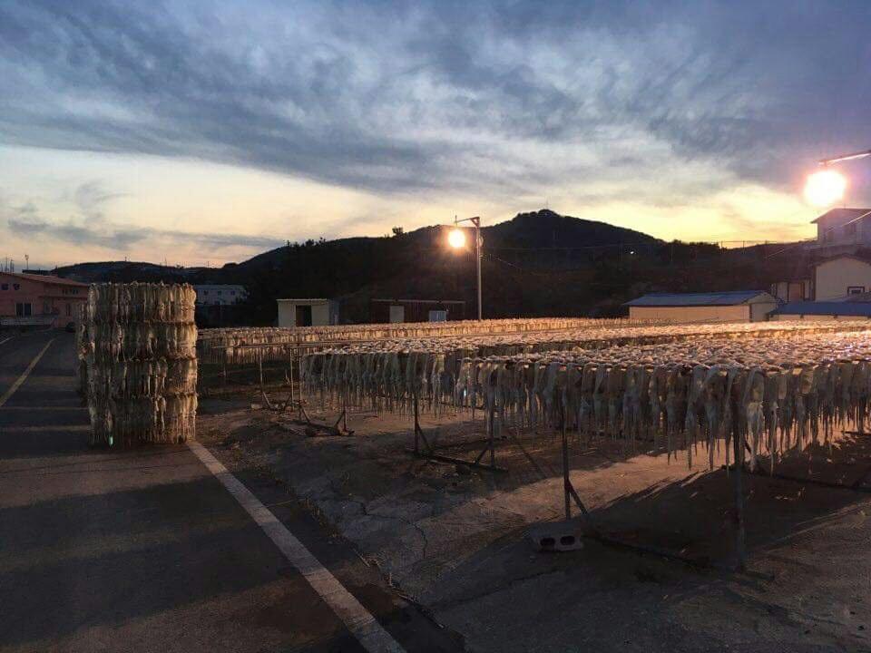 Tobang Red Clay Pension P'ohang Exterior foto